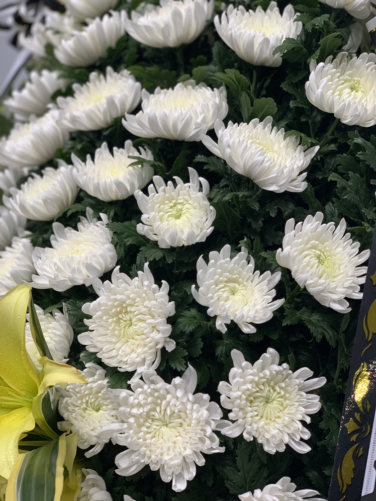 b6079a2d5b21b3d80cf7d8b9b127dc4f_1601616241_33.jpg