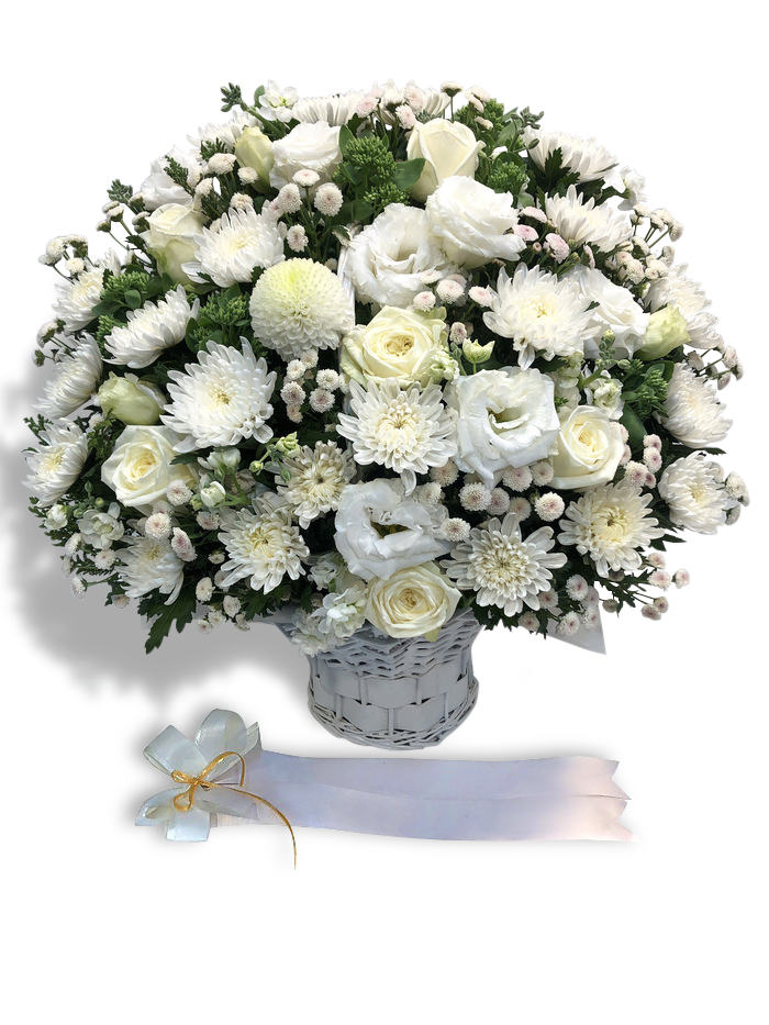 e27309eeda93c70a651dbca2e4847380_1623994369_45.png